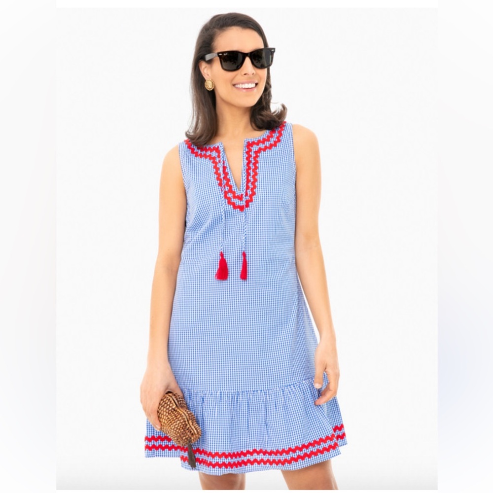 Sail to Sable Blue Gingham Ruffle Hem dress